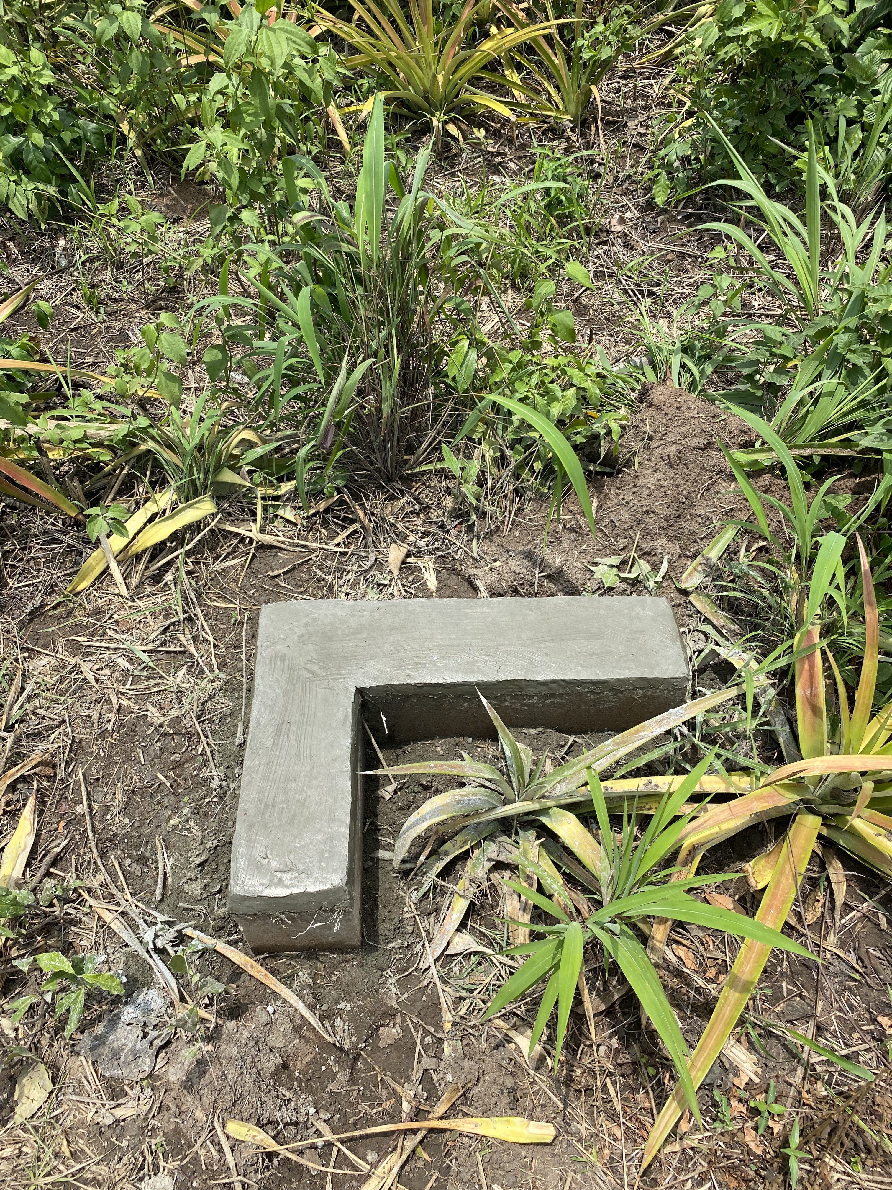 Plot Corner