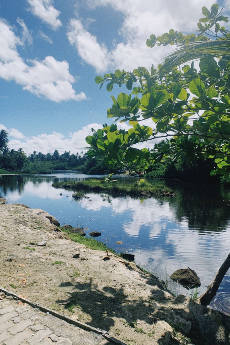 Artificial Lake with Trees
